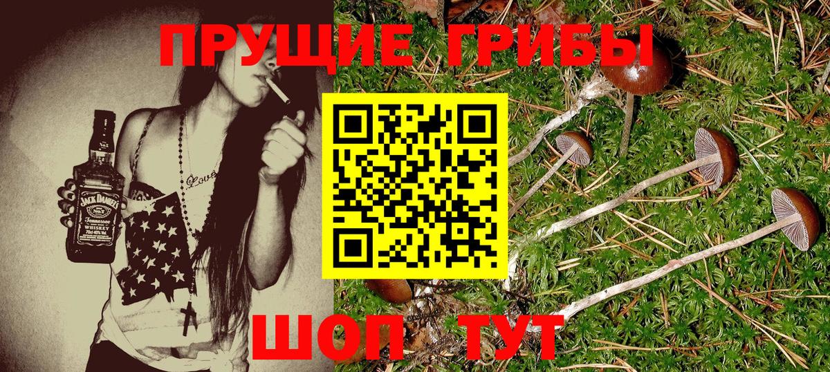 Галлюциногенные грибы GOLDEN TEACHER  Вход с VPN  Лангепас 
